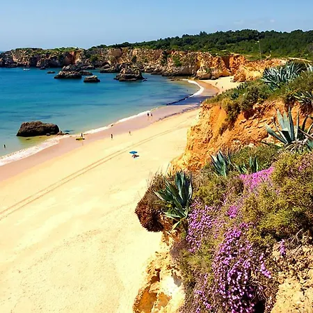 Apartment Rocha T1 Portimao