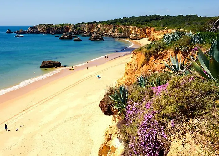 아파트 Rocha T1 포티마오